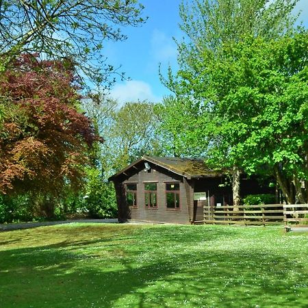 37 Trevithick Court, Tolroy Manor Villa Hayle Eksteriør billede